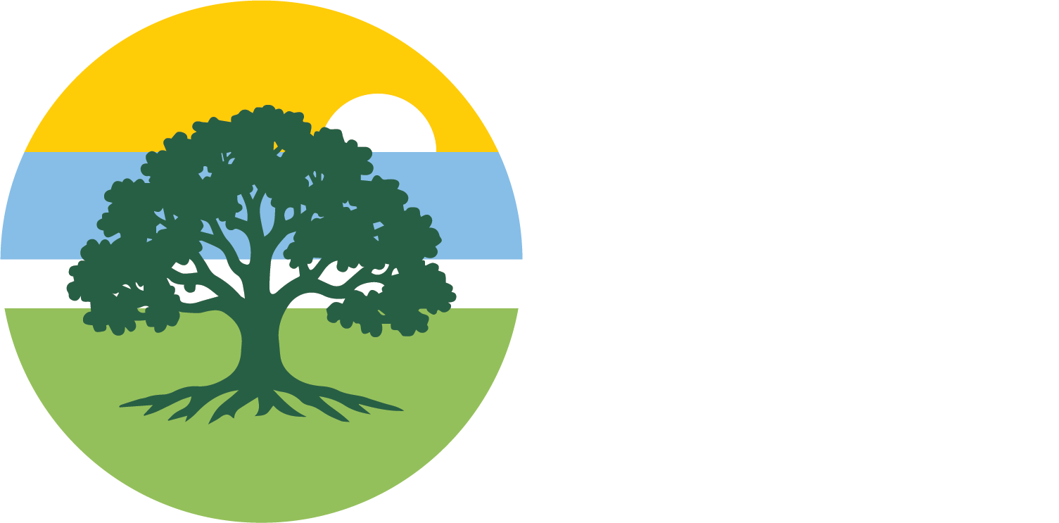 PHASE Dev Site